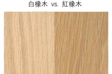 白橡木與紅橡木的辨識及其應用